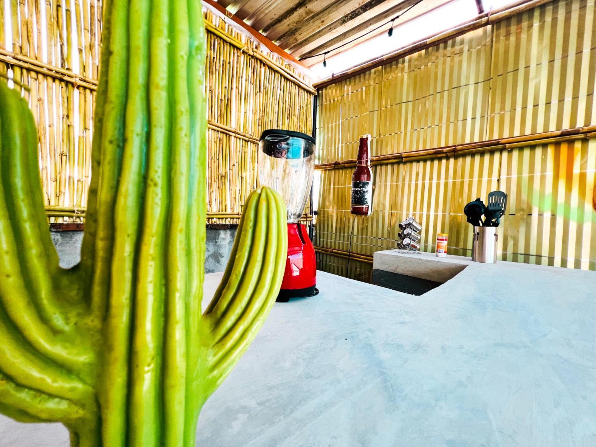 Habitaciones Hvuz, Centro Oaxaca 外观 照片