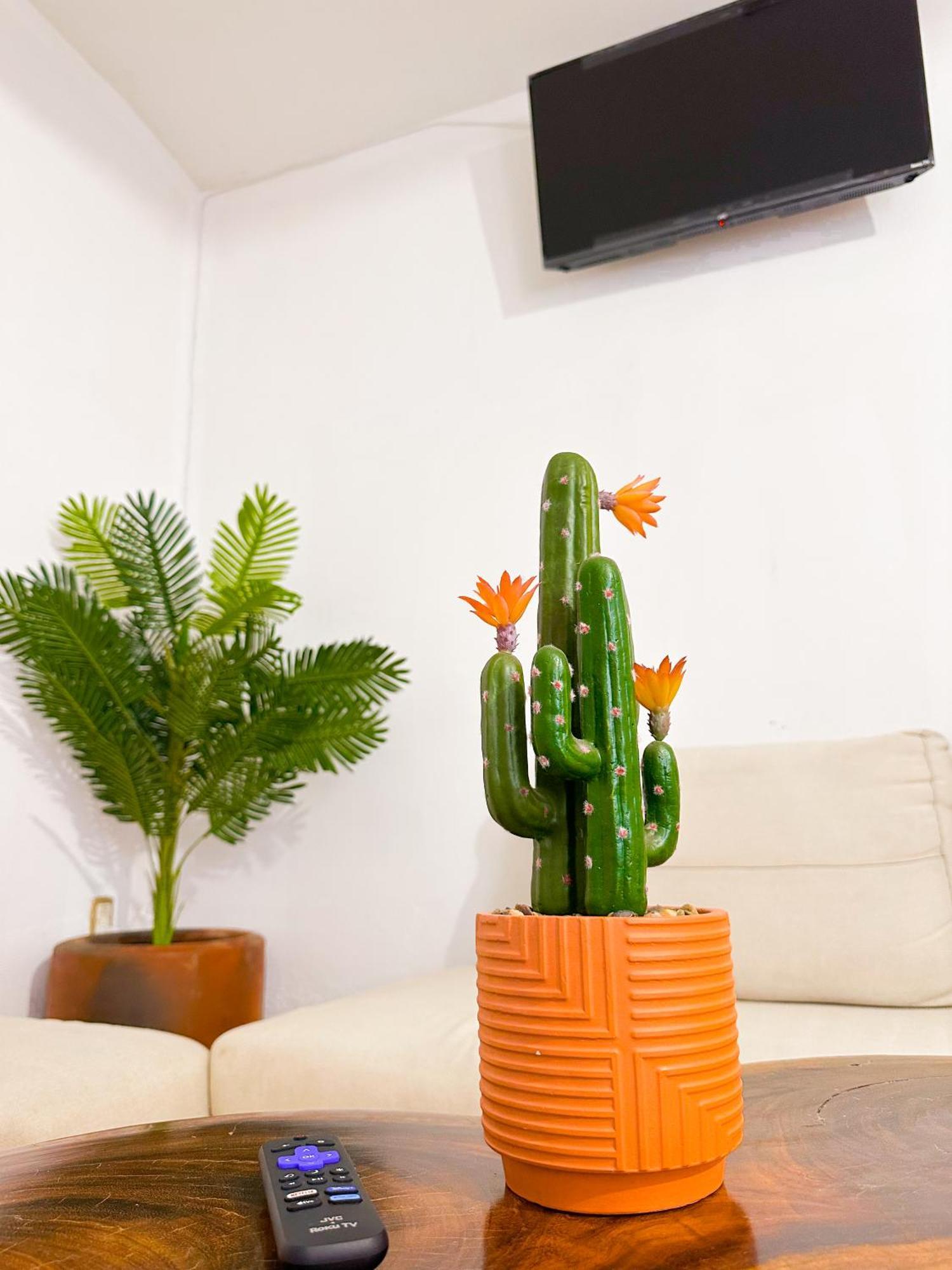 Habitaciones Hvuz, Centro Oaxaca 外观 照片