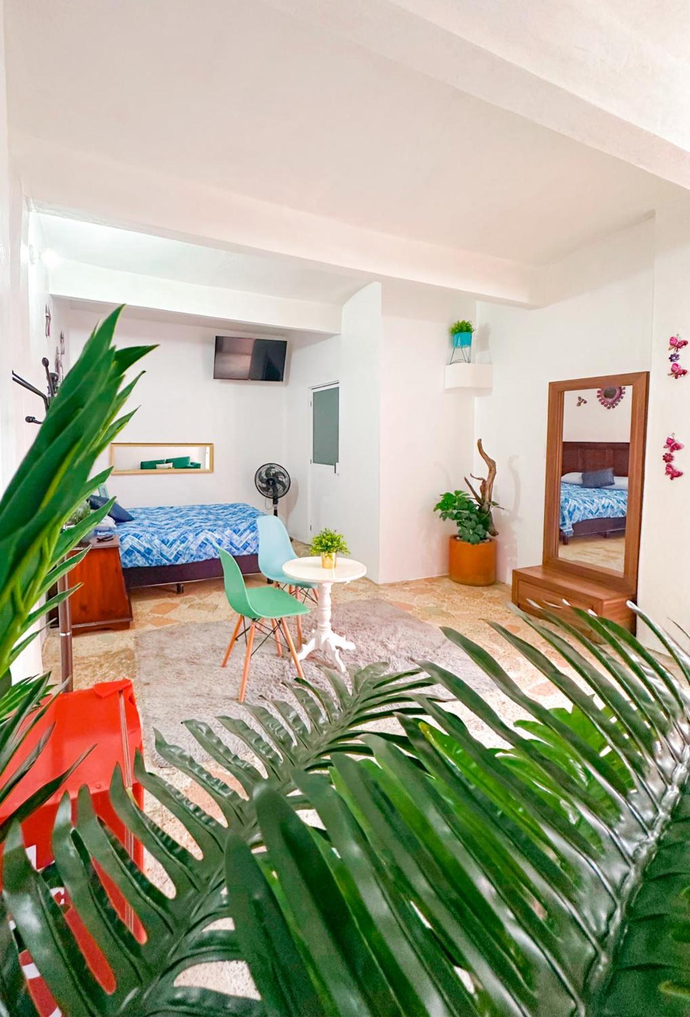 Habitaciones Hvuz, Centro Oaxaca 外观 照片